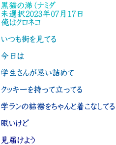 黒猫の涕（ナミダ 未選択2023年07月17日 俺はクロネコ  いつも街を見てる  今日は  学生さんが思い詰めて  クッキーを持って立ってる  学ランの詰襟をちゃんと着こなしてる  眠いけど  見届けよう