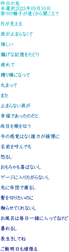 昨日の兎 未選択2023年09月10日 祭りの囃子が遠くから聞こえて  月が見える  涙が止まらなくて  悔しい  朧げな記憶をたどり  疲れて  蹲り横になって  丸まって  また  止まらない涙が  幸福であったのだと  両目を頬を伝う  手の感覚はなく握力が緩慢に  名前を呼んでも  怒るし  おもちゃも喜ばないし  ゲージに入りたがらないし  先に布団で寝るし  髪を切りたいのに  触らせてくれないし  お風呂は毎日一緒に入ってるけど  暴れるし  長生きしてね  ご飯明日も頑張る