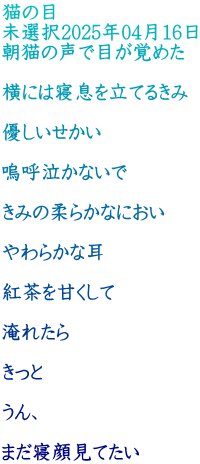 猫の目 未選択2025年04月16日 朝猫の声で目が覚めた  横には寝息を立てるきみ  優しいせかい  嗚呼泣かないで  きみの柔らかなにおい  やわらかな耳  紅茶を甘くして  淹れたら  きっと  うん、  まだ寝顔見てたい